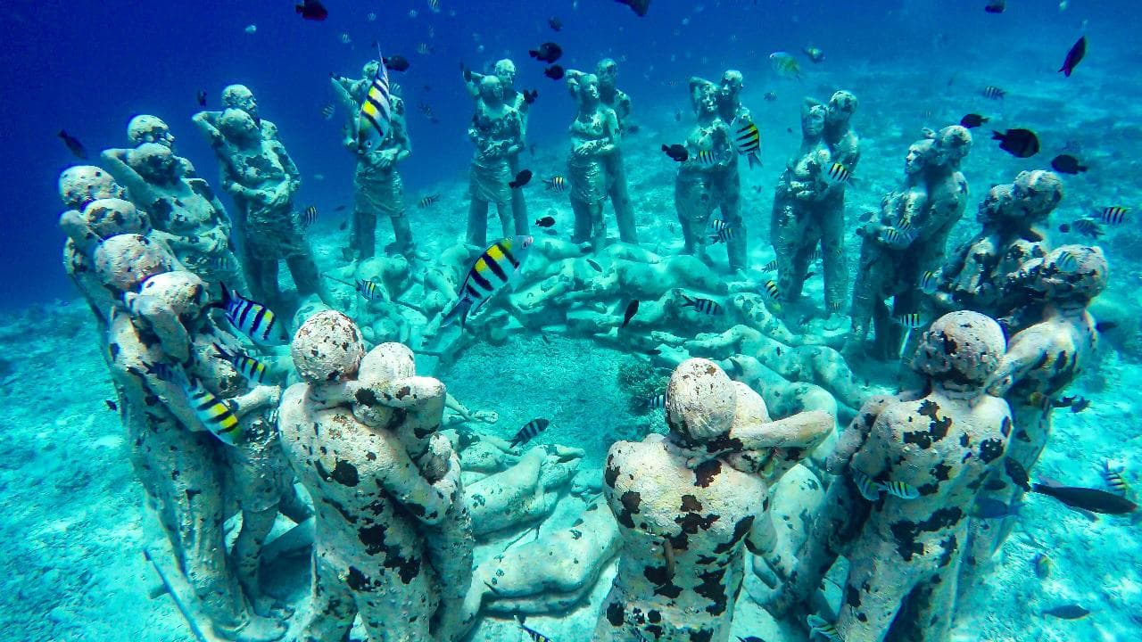 Monkey Sea, Monkey Do Snorkeling Tour — photo 8