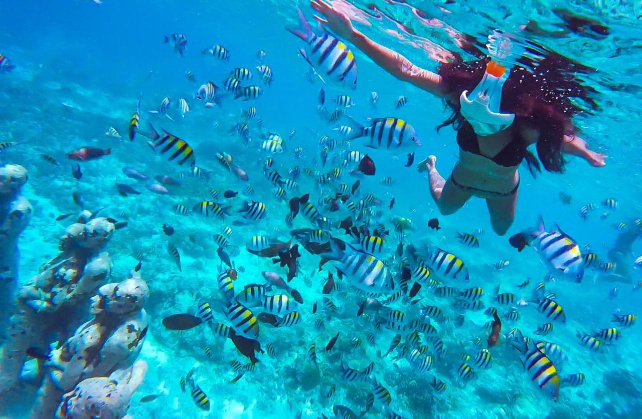 Monkey Sea, Monkey Do Snorkeling Tour — photo 3